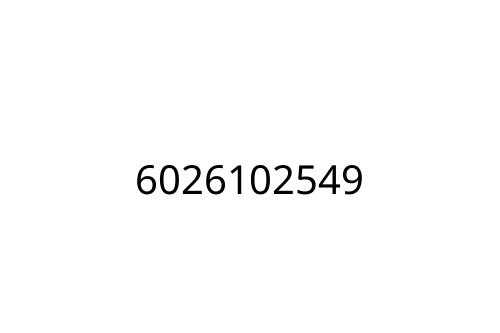 6026102549