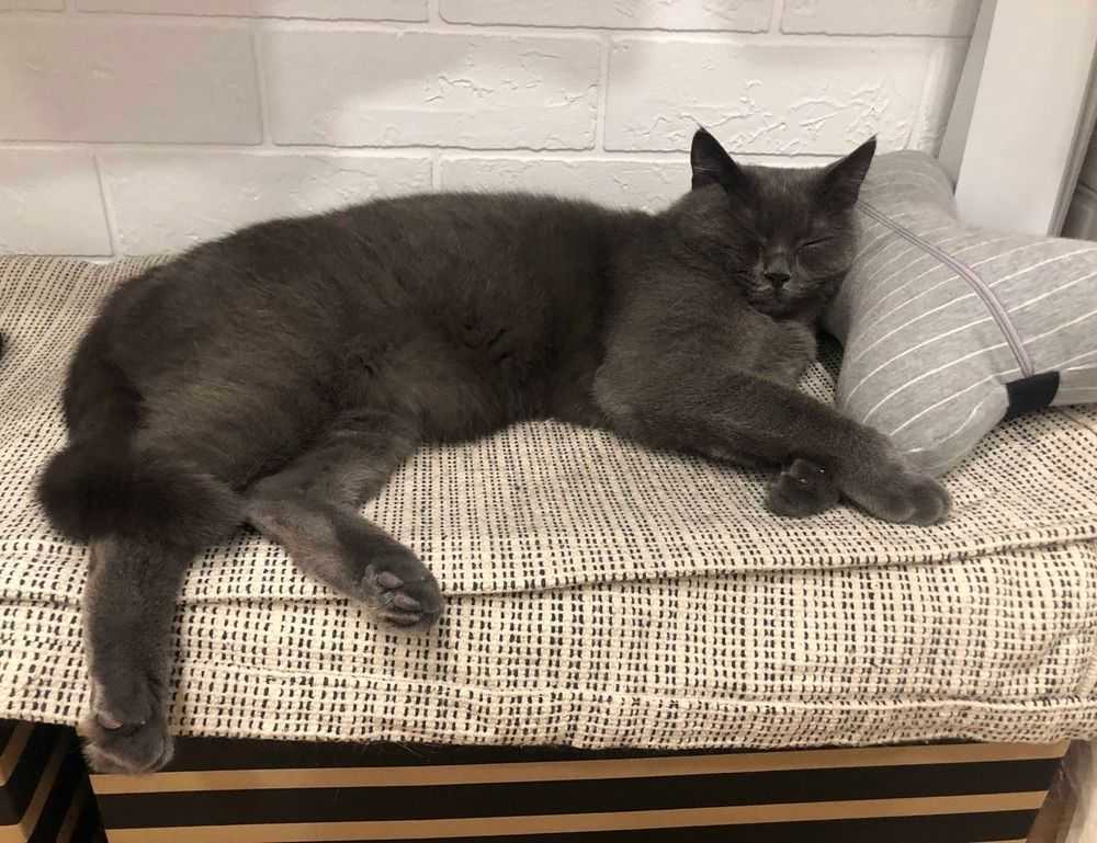 gaming patch chronotriggerpatchv19y32c1