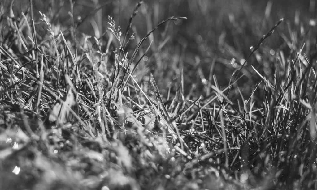 python software issue 0297xud8