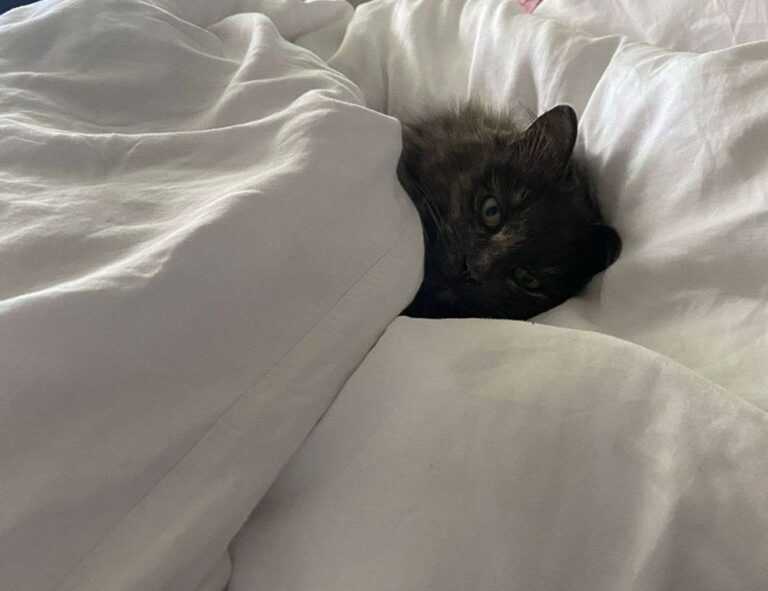 which area in beevitius is the best to stay