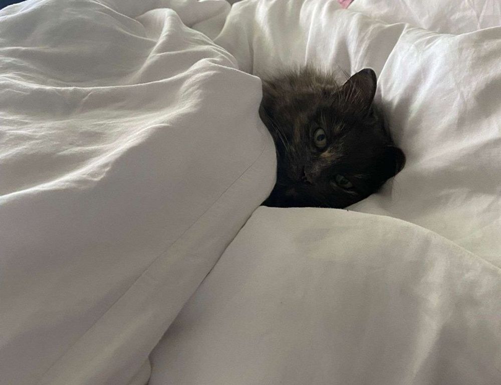 which area in beevitius is the best to stay