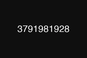 3791981928