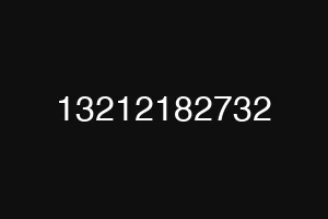 13212182732