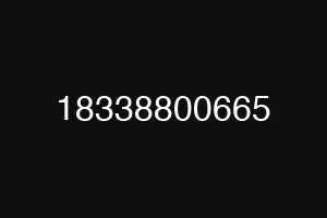 18338800665