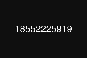 18552225919