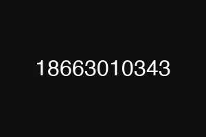 18663010343