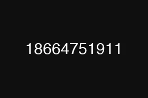 18664751911