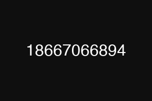 18667066894