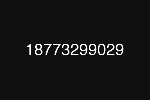18773299029