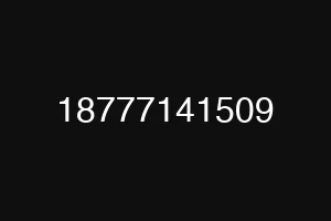 18777141509