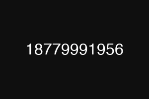 18779991956