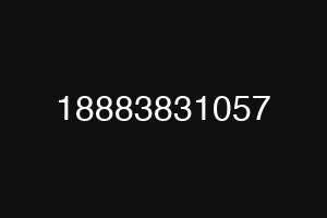 18883831057
