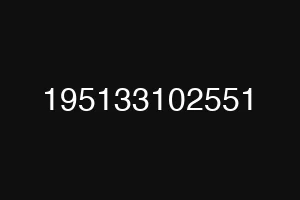 195133102551