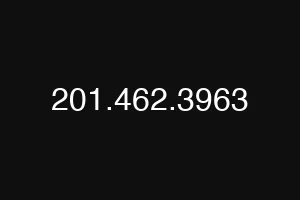 201.462.3963