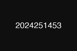 2024251453