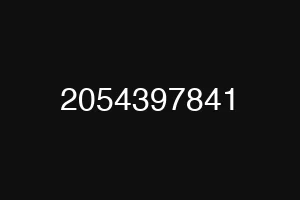 2054397841