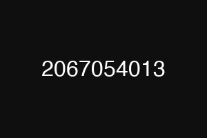 2067054013