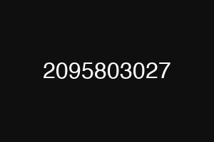 2095803027