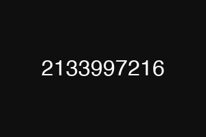 2133997216