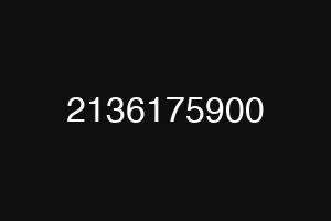 2136175900