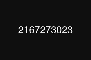 2167273023