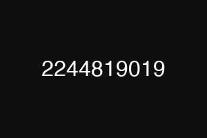 2244819019
