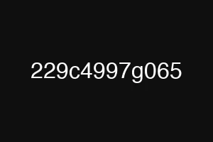 229c4997g065