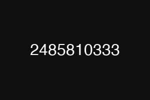 2485810333