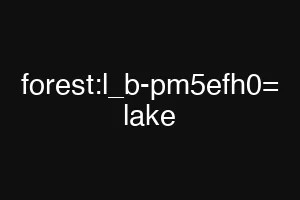 forest:l_b-pm5efh0= lake