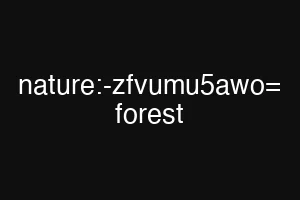 nature:-zfvumu5awo= forest